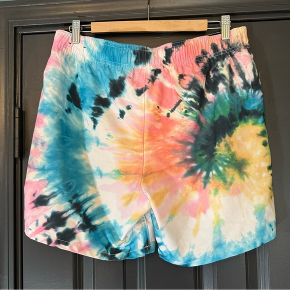 🏳️🌈 Hollister Pride Collection Swim Trunks - Picture 2 of 10